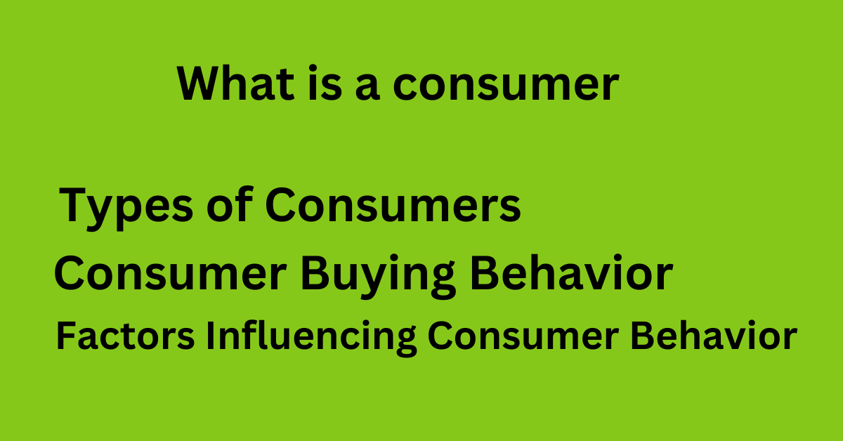 What is a Consumer A Comprehensive Guide